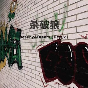 杀破狼 （Destiny&Deram Remix）
