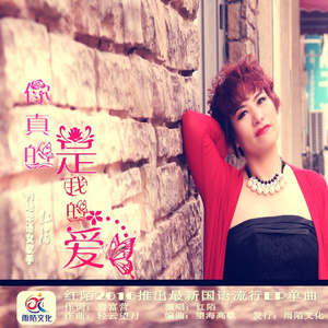 你真的是我的爱 (伴奏)