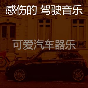 优美汽车器乐
