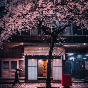 心向阳（钢琴曲）