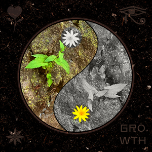 Growth