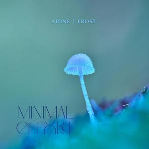 Needle in the Strobe (original)