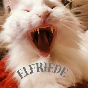 Elfriede