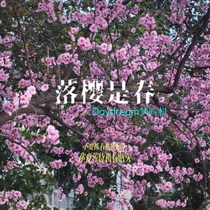 落樱是春