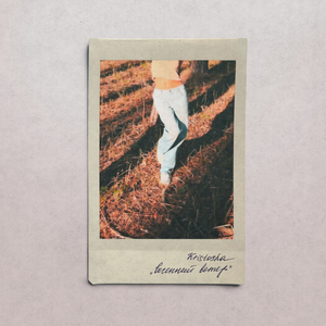 Весенний ветер