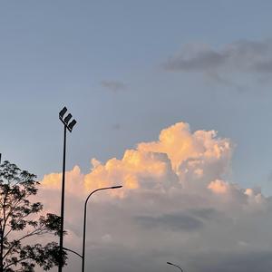 Cas14（Damon remix）