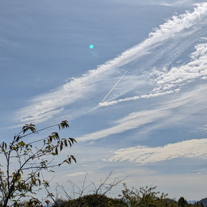 どうすればいい？