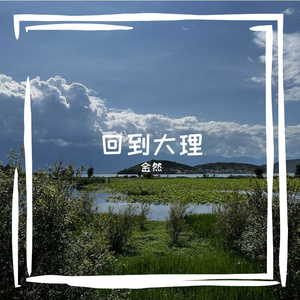 回到大理