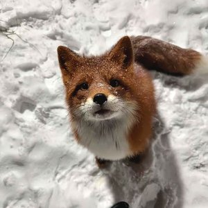 拥抱你 像把迟到的春天补给我