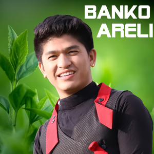 BANKO ARELI