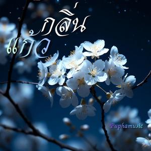 กลิ่นแก้ว (Endless Jasmine)