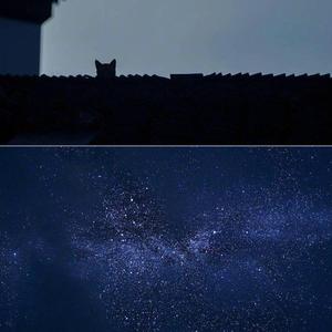 屋塔房(Rooftop)（翻自 N.Flying）