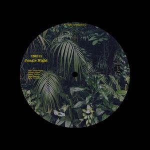 Jungle Night