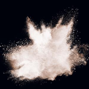 Les sombres neiges