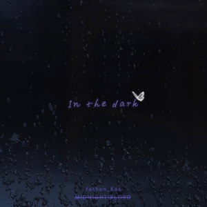 in the dark prod. by jzxdz