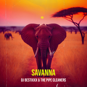 Savanna