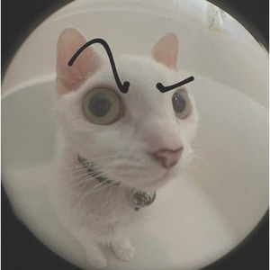 Thick fine women x So high