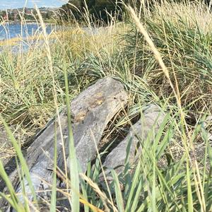 L'automne (feat. Paul L’arrivée)