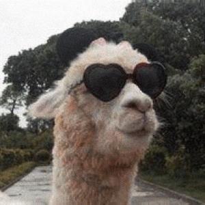 Successful man and failed man（Prod. EASONZHU）