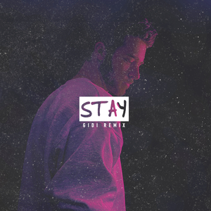 Stay (Remix)