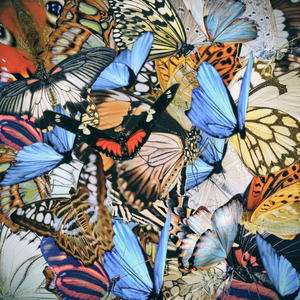 MARIPOSAS (INSTRUMENTAL)