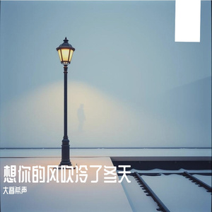 想你的风吹冷了冬天