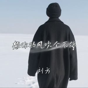 想你的风吹个不停
