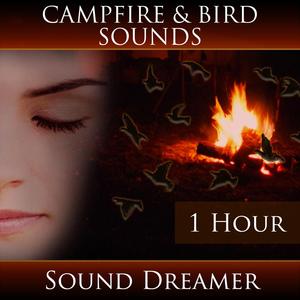 Campfire and Bird Sounds - 1 Hour