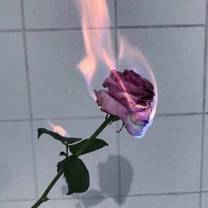 爱的故事上集 (bb鼓)