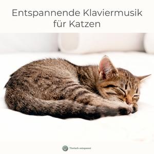 Kuschelpause | Beruhigende Katzenmusik