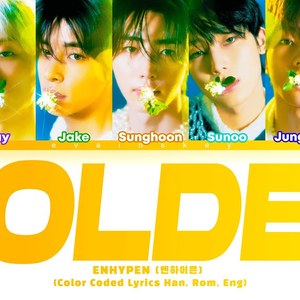 [AI COVER] ENHYPEN Golden