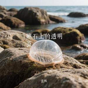 礁石上的透明茧