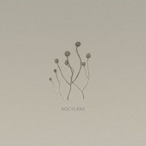 Nocturne