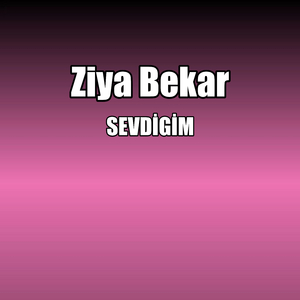SEVDİGİM