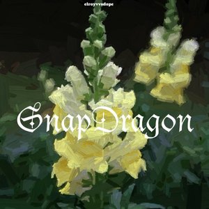 金鱼草 (prod.Gevu Minaj)