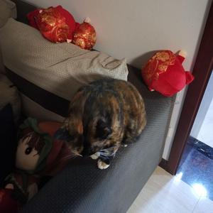 无所事事的一天