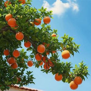 偷偷地想你 伴奏