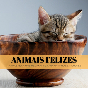 Animais De Estimação Totalmente Relaxados