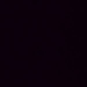 Join us quickly baby1