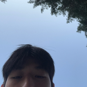 洋甘菊