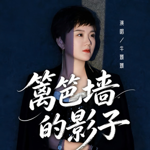 篱笆墙的影子