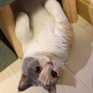 【魔道】相逢应相识