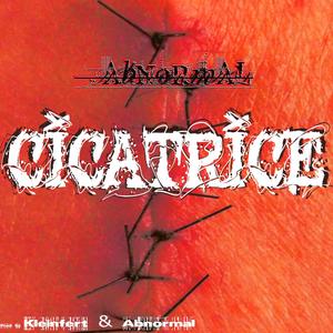 Cicatrice (Kleinfert Remix)