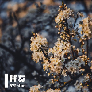 月色寄相思伴奏