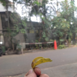 Bulan Juni (Acoustic)