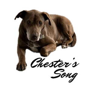 Chester's Song