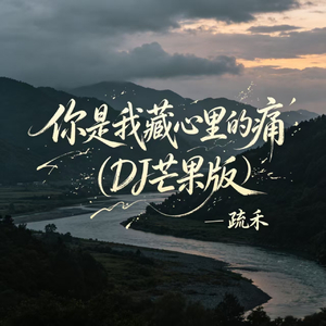 你是我藏心里的痛(DJ芒果版)