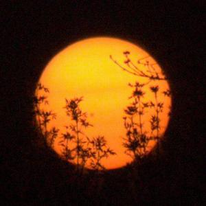 WUL (Waking Up Late)