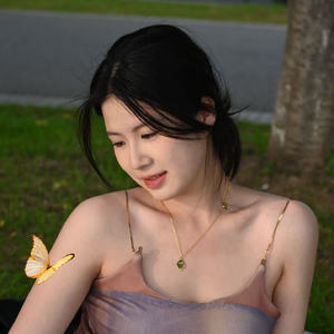 金林藻井