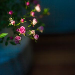 找回那年夏天的你